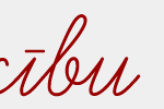 cropped-default-logo.png